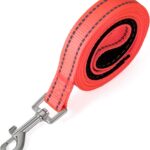 Nylon Dog Training Leash, Traction Rope for Small and Medium Dogs, 6 Feet Long (Pink)