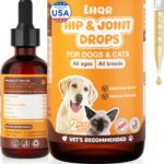 Liquid Glucosamine for Dogs, Chondroitin MSM Dog Drops for Hip & Joint Pain Relief, Joint Supplement Drops for Cats Mobility Support, Hip and Joint Liquid for Pets All Breeds Small Medium Large 60ml