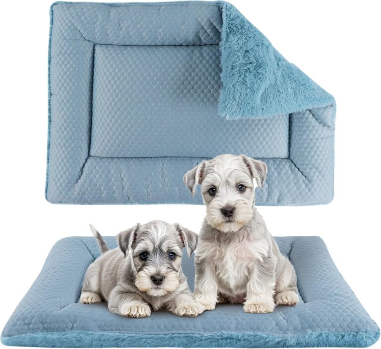 Dog Bed Mat, Crate Pad Reversible,Soft Kennel Pad, Washable Dog Crate Mat (Cool and Warm),Pet Sleeping Mattress for Small Medium Dogs XB009 (18''x13'',Blue)