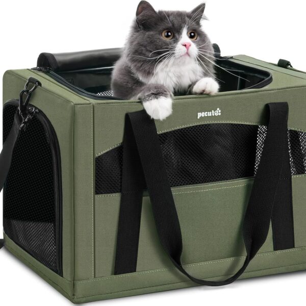 Pecute Cat Carrier Stale, Pet Carrier Breathable and Portable, Cat Carriers Bag with Scientific Hidden Partition, Carriers for Cat Under 11lbs, Dog Carrier Suitable for Travel and Outing, Green