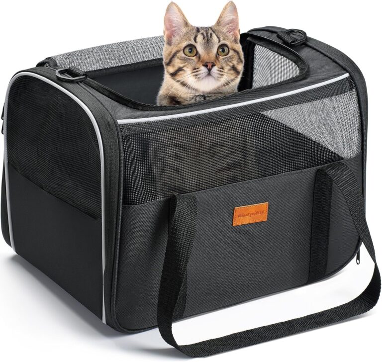 Morpilot Cat Carrier Soft - Portable Pet Carrier for Small or Medium Cats, Dogs and Puppy up to 14lbs, Airline Approved Dog Carrier with Safety Buckle - (Dark Gray)