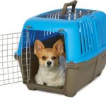 MidWest Homes for Pets Spree Travel Pet Carrier, Dog Carrier Features Easy Assembly and Not The Tedious Nut & Bolt Assembly of Competitors, Ideal for Small Dogs & Cats, Blue, 24-Inch, Top Door
