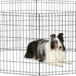 New World Folding Metal Puppy/Dog Exercise Pen, Indoor/Outdoor Playpen with No Door, Provides 16 Sq Feet of Play Space, 30-Inches Tall, Black E-Coated