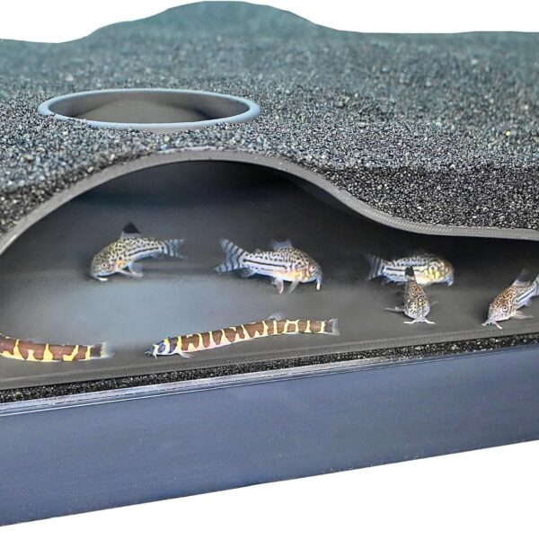 Aquarium Underground Tunnel Cave Natural Curve | Viewing Fish & Shrimp Under Gravel Tunnel | Fish Tank Decor Decoration Hideout Perfect for Corydora Catfish, Kuhli Loach, Clown Loach, Pleco