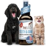 PetSilver Teeth & Gum Spray - Dog Dental & Teeth Cleaning Spray for Plaque & Tartar Build-Up Reduction - Natural Breath Freshener for Dogs and Cats - Patented Chelated Silver - Made in The USA - 4 oz