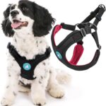 Gooby Escape Free Sport Harness - Black, Small - No Choke Step-in Patented Neoprene Dog Harness with Four-Point Adjustment for Small to Medium Dogs