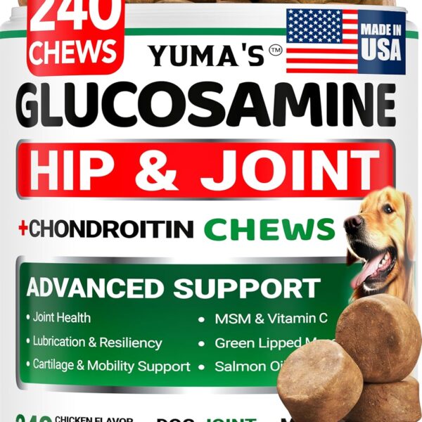 Glucosamine for Dogs - 240 Chews - Hip and Joint Supplement for Dogs - Advanced Glucosamine Chondroitin Treats with MSM - Joint Pain Relief - Large & Small Breed - Mobility Support - Made in USA