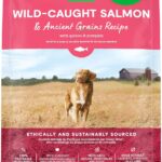 Open Farm, Ancient Grains Dry Dog Food, Protein-Rich & Nutrient Dense, 90% Animal Protein Mixed with Non-GMO Fruits, Veggies and Superfoods, Wild Caught Salmon Recipe, 4lb Bag
