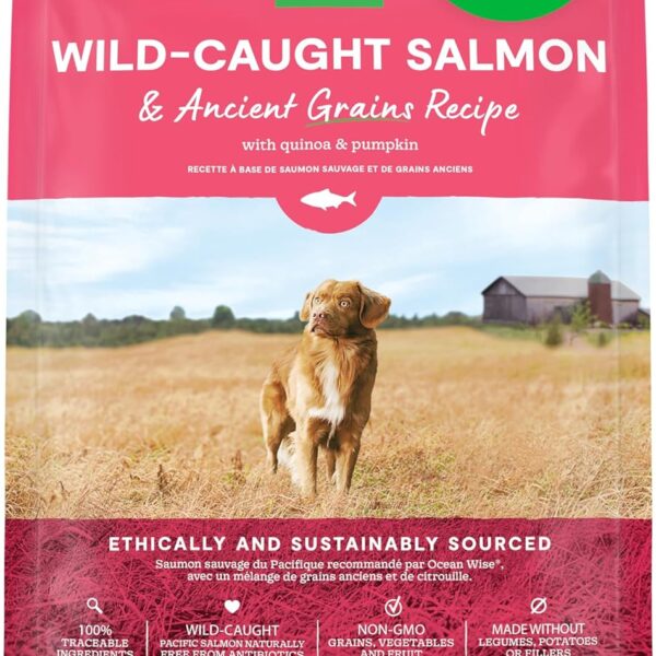 Open Farm, Ancient Grains Dry Dog Food, Protein-Rich & Nutrient Dense, 90% Animal Protein Mixed with Non-GMO Fruits, Veggies and Superfoods, Wild Caught Salmon Recipe, 4lb Bag