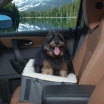 Pet Gear Lookout Booster Car Seat, Removable Comfort Pillow, Safety Tether Included, Installs in Seconds, No Tools Required, Grey Houndstooth