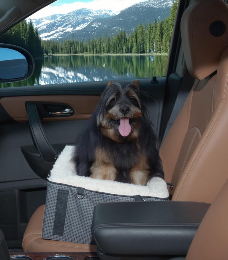 Pet Gear Lookout Booster Car Seat, Removable Comfort Pillow, Safety Tether Included, Installs in Seconds, No Tools Required, Grey Houndstooth