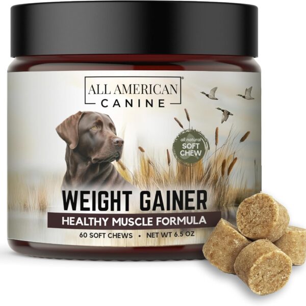 All American Canine Dog Weight Gainer Chews  High Calorie Dog Food Supplement for Rapid Weight Gain, Mass, and Recovery  Appetite Stimulant  60 Chews
