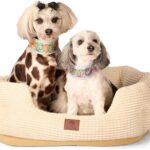 American Kennel Club 26" Clamshell Cuddler Dog Bed - Plush Popcorn Texture, Washable, Non-Slip, for Medium & Large Dogs