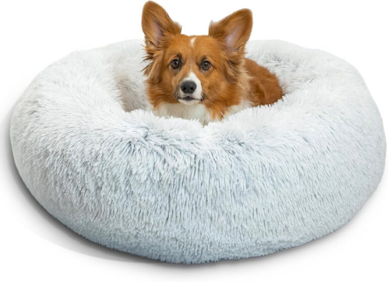 Best Friends by Sheri The Original Calming Donut Dog Bed  Washable Plush Pet Bed for Medium Breeds up to 45 lbs, Shag Faux Fur, Frost Gray, Medium (30" x 30")