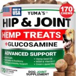 YUMA'S Hemp Hip and Joint Supplement for Dogs - Glucosamine for Dogs - 170 Joint Pain Relief Chews - Chondroitin, MSM - Hemp Oil - Advanced Canine Health Supplement - Mobility Support Treats