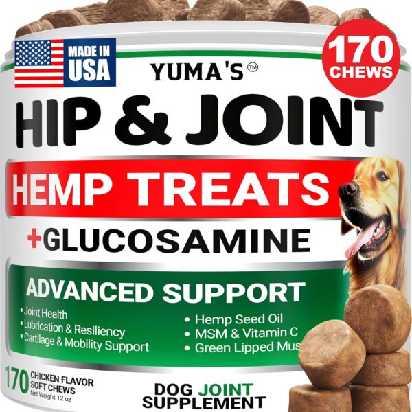 YUMA'S Hemp Hip and Joint Supplement for Dogs - Glucosamine for Dogs - 170 Joint Pain Relief Chews - Chondroitin, MSM - Hemp Oil - Advanced Canine Health Supplement - Mobility Support Treats