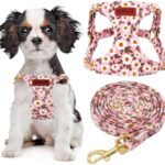 No Pull Dog Harness Adjustable Small pet Harness and Leash Set, Lightweight and Soft Dog Harness No Choke Escape Proof Pet Harness Vest (Pink Daisy, XX-Small)