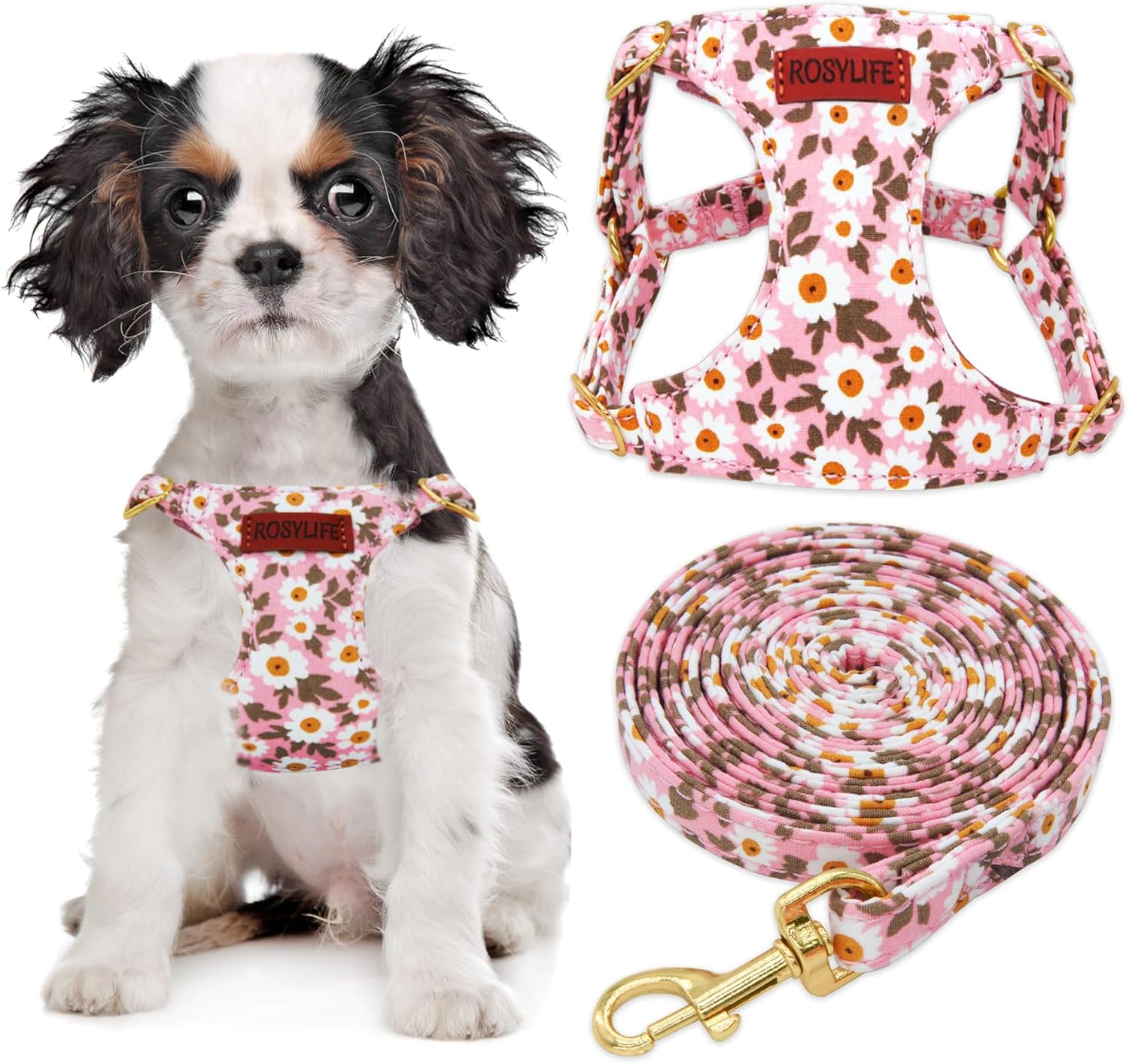 No Pull Dog Harness Adjustable Small pet Harness and Leash Set, Lightweight and Soft Dog Harness No Choke Escape Proof Pet Harness Vest (Pink Daisy, XX-Small) No Pull Dog Harness Adjustable Small pet Harness and Leash Set, Lightweight and Soft Dog Harness No Choke Escape Proof Pet Harness Vest (Pink Daisy, XX-Small)