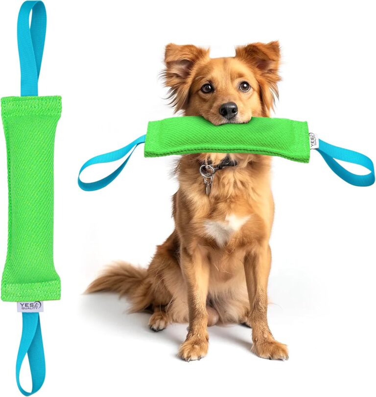 YES4QUALITY Dog Bite Tug Toy - 11.8"x3.5" - Durable Green Pull Toy with 2 Strong Blue Handles - Tough Nylon Pillow for Small to Medium Dogs - Ideal for Tug of War, Fetch, K9 & Puppy Training