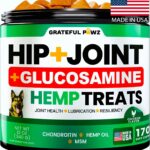 Hemp Hip and Joint Supplement for Dogs - Glucosamine for Dogs - 170 Joint Pain Relief Treats - Chondroitin, MSM, Hemp Oil - Advanced Health Supplement - Mobility Support Chews - Made in USA
