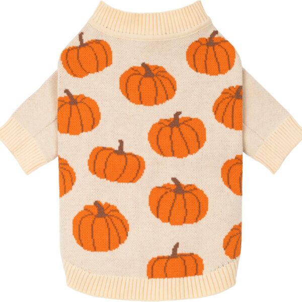 Fitwarm Pumpkin Dog Sweater, Thanksgiving Outfit for Small Dogs Boy Girl, Pet Outfit, Orange, Beige, Large