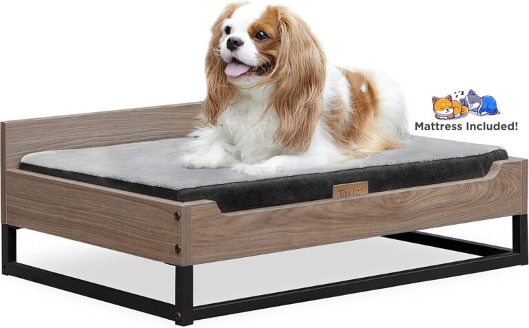 Milo Wooden Dog Bed, Plush Mattress Comforts The Pets with Bone Diseases, Water Resistant, Greenguard Gold Certified, Mattress, Non - Toxic Pet Proof Paint, Walnut