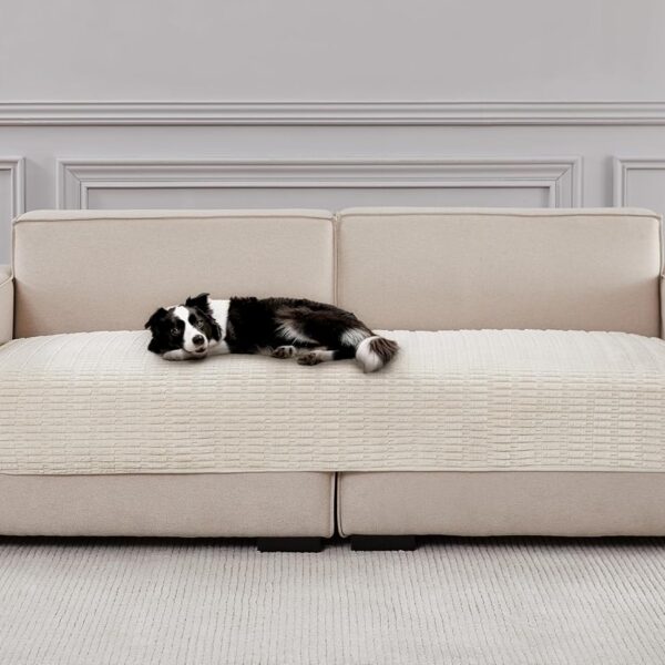 Couch Covers Sofa Seat Covers, Anti-Slip Dog Mat Pet Pad Blanket for Sofa Chair Recliner Bed Furniture Protector Washable (Cream White, 40x60 inch)