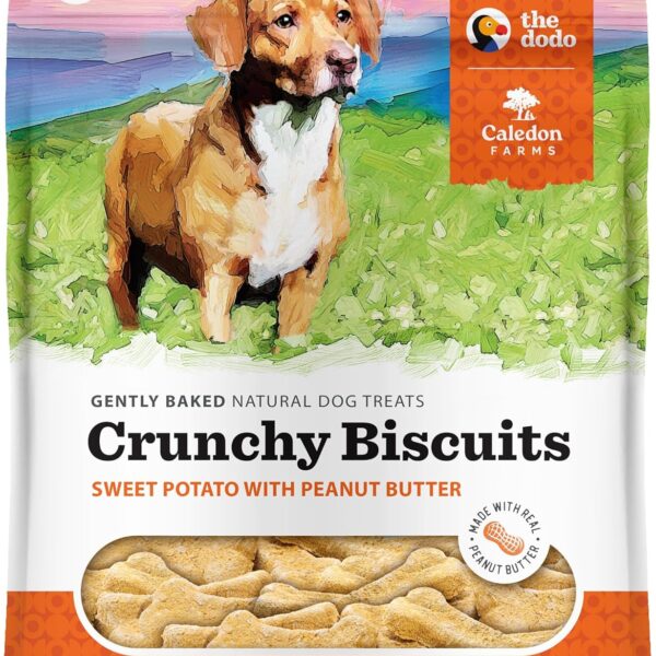 Caledon Farms The Dodo Crunchy Biscuits - Sweet Potato with Peanut Butter 19.5oz, Dog Treats