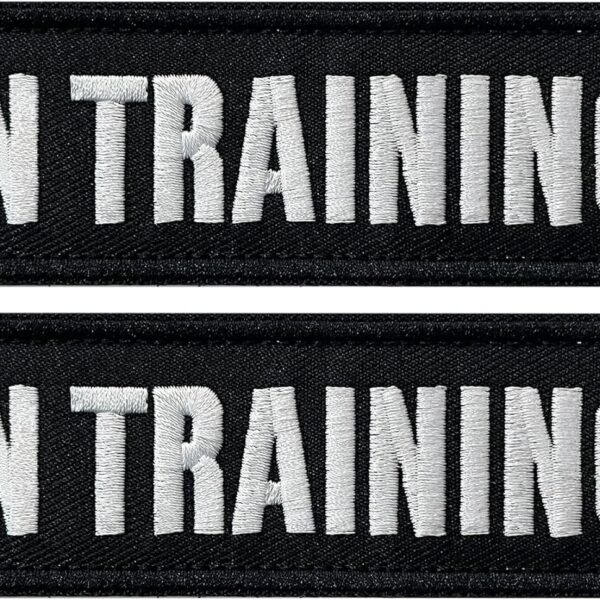 TACVEL 2 Pieces in Training Dog Patches with Hook Backing for Service Animal Vests, Harnesses