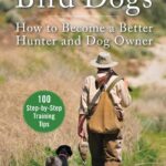 Training and Hunting Bird Dogs: How to Become a Better Hunter and Dog Owner