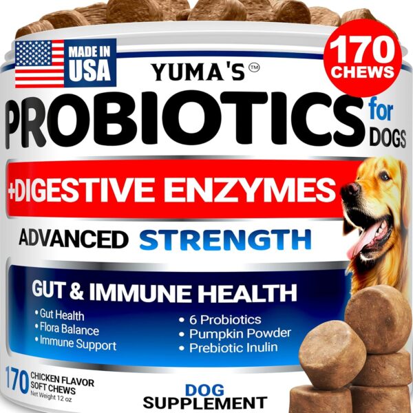Probiotics for Dogs and Digestive Enzymes - 170 Dog Probiotics Chews - Dog Probiotic - Anti Diarrhea, Upset Stomach & Gas Relief, Constipation, Canine Prebiotic - Pet Fiber Supplement - Gut Health