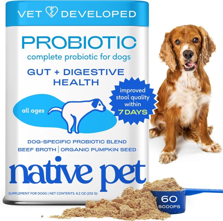 Native Pet Probiotics for Dogs - Dog Probiotics Powder for Digestive Health, Gut Support, & Immune Boost  Vet-Formulated Powder for Maximum Potency with Digestive Enzymes & Prebiotics - 60 Scoops