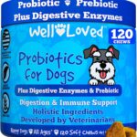Well Loved Probiotics for Dogs, Dog Probiotics, Made in USA, Vet Developed for Gut Health, Yeast Balance, Itchy Skin, Diarrhea & Gas Relief, Chews with Prebiotic & Digestive Enzymes, Digestive Support