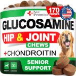 Advanced Glucosamine for Dogs - 170 Chews - Senior Hip and Joint Supplement for Dogs - Glucosamine Chondroitin - Dog Joint Health Pain Relief Pills - MSM - Mobility Support Supplement - Made in USA