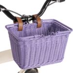 GRANNY SAYS Kids Bike Basket, Front Bicycle Bike Baskets for Kids, Small Wicker Bike Basket for Boys and Girls, Small Wicker Basket for Bike, 9" x 7" x 6", 1-Pack