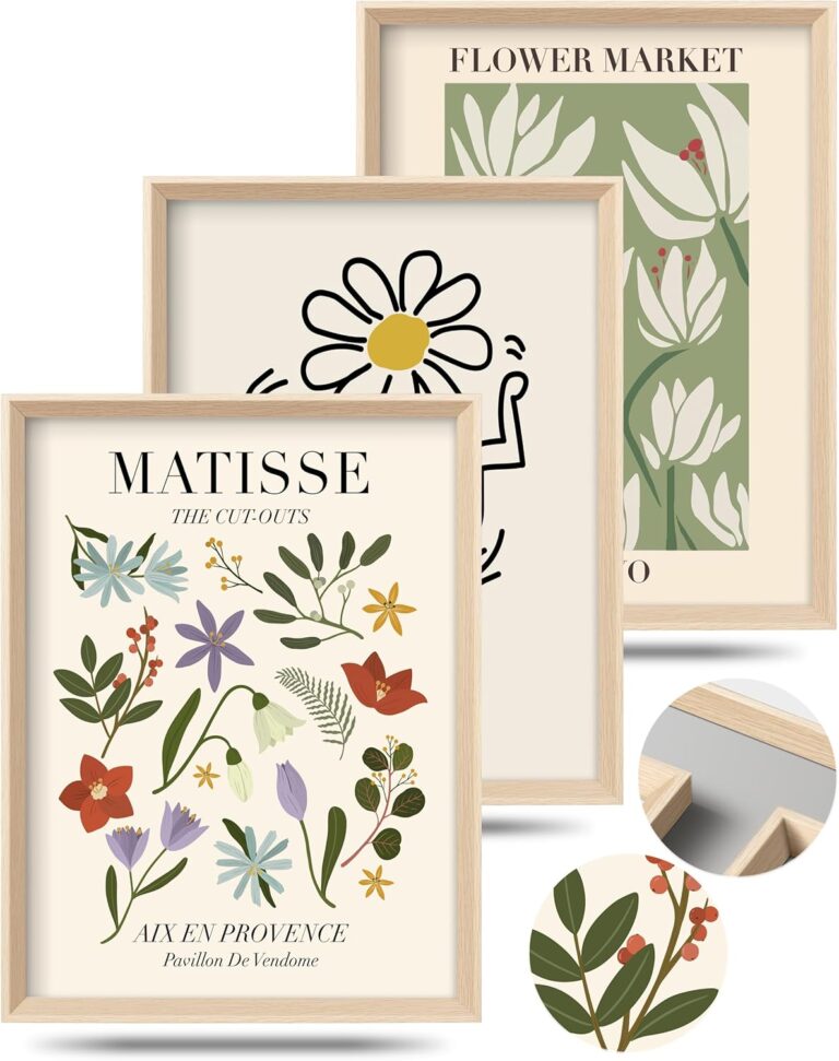 Framed Matisse Canvas Wall Art for Bedroom,Abstract Matisse Canvas Wall Decor,Minimalist Classic Decor Aesthetic,16x12IN Wood High Framed Design Posters for Living Room,Bathroom Set of 3