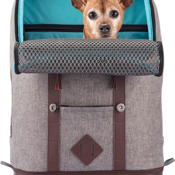 Kurgo Dog Carrier Backpack for Small Pets - Hands-Free Pet Travel Backpack - Armorsole Base - Convertible Backpack to Carrier - Rugged Pet Backpack - Heather Grey
