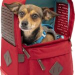 Kurgo Nomad Carrier Backpack - Airline Approved Dog Bag for Travel - Stylish Pet Backpack with Waterproof Bottom - Lightweight for Hiking - Small Breed Dog Carrier with Tablet Sleeve - Red