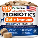 Probiotics for Dogs - 170 Dog Probiotics Chews - Digestive Enzymes & Prebiotics - Support Gut Health, Diarrhea, Gas & Constipation Relief - Itchy Skin, Allergies, Yeast Balance - Advanced Supplement