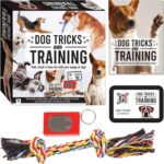 Hinkler Dog Tricks and Training Box Set - Pet Care Guide - Dog Training - Household Essentials -Exclusive Access to Online Dog Training Videos - Clicker and Rope Tricks