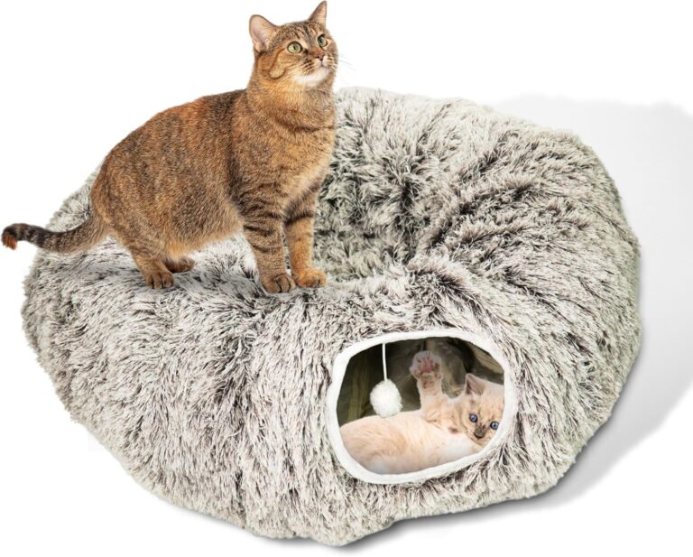 Circular Cat Tunnel for Indoor Cat - Indoor Cat Tunnel - Cats Toy - Brown