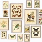 97 Decor LARGE 11x14 Vintage Botanical Wall Art Decor - Plant Posters For Room Aesthetic, Vintage Botanical Prints Nature Floral Pictures Butterfly Bird Art For Home Bedroom (Unframed)