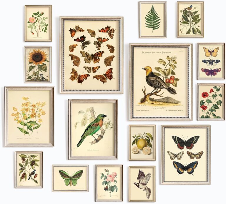 97 Decor LARGE 11x14 Vintage Botanical Wall Art Decor - Plant Posters For Room Aesthetic, Vintage Botanical Prints Nature Floral Pictures Butterfly Bird Art For Home Bedroom (Unframed)