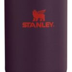Stanley IceFlow Flip Straw Tumbler with Handle 30 oz | Twist On Lid and Flip Up Straw | Leak Resistant Water Bottle | Insulated Stainless Steel |BPA-Free | Plum