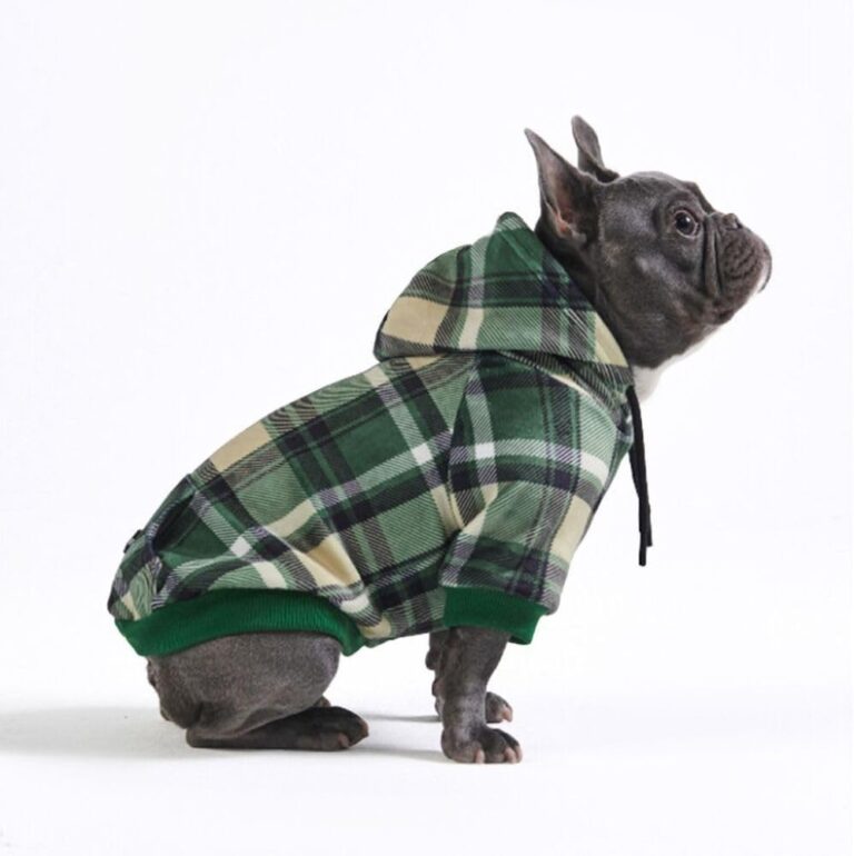 Spark Paws Dog Hoodie  Premium Dog Sweater for Small, Medium, and Large Dogs | Warm Outfits for French Bulldogs, Pitbull, Puppy, Winter Jacket Alternative - Green Plaid - L