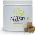 Dog Allergy Relief Soft Chews with Quercetin, Colostrum, Turmeric, Probiotics & TruMune  Supports Itchy Skin, Seasonal Allergies, Immune & Gut Health  Beef Flavor  60 Chews