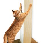 SmartCat Pioneer Pet Ultimate Scratching Post (Beige)