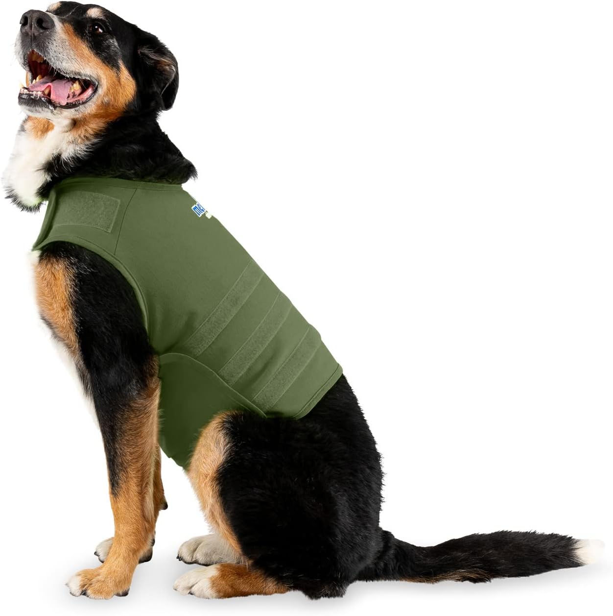 Dog Anxiety Calming Wrap, Large, Cypress Dog Anxiety Calming Wrap, Large, Cypress