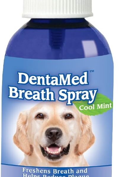 Davis DentaMed Breath Spray, 4 oz (DBSP04)