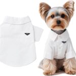 Luxury Pet Dress Shirt for Dogs & Cats  White Designer Button-Up Outfit, Formal Clothes for Wedding, Party, Photoshoot, Puppy & Kitten Fashion Apparel (Large 8.915.4 lbs)